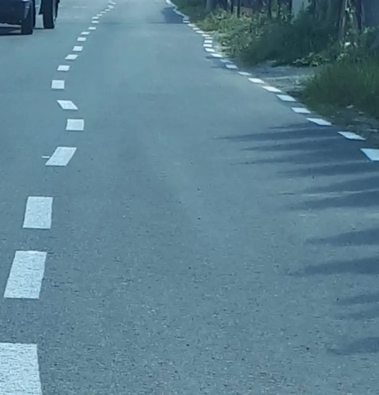 Marcaj rutier făcut de Dorel, la Pitești! S-a inventat linia discontinuă șerpuită!