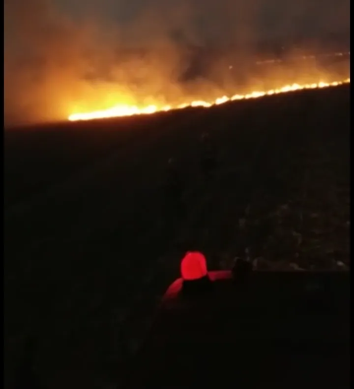 Video-Incendiu de vegetație pe 20 hectare, la Leordeni! Focul amenință lanul de porumb
