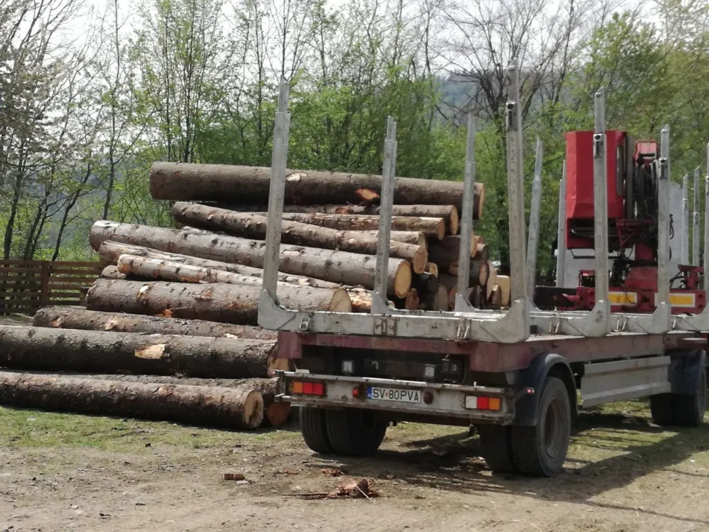 Activități ilegale cu lemn! Firmă din Argeș amendată cu 20.000 lei