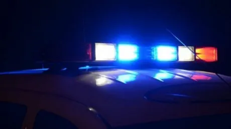 Doi minori, depistați de polițiști cu un ornament sustras de pe o bară de Audi