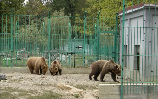 La Grădina Zoologică Piteşti se scumpesc biletele pentru vizitatori