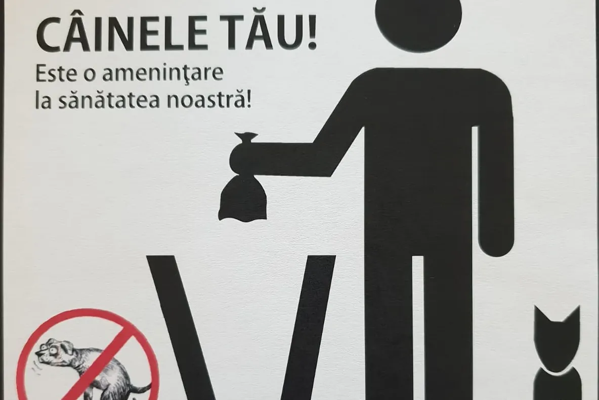 Campania „Strânge după câinele tău”, la Pitești! Amenzi între 200-500 lei