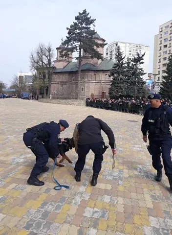 Ziua Jandarmeriei 2019! Paradă şi cântece patriotice, la IJJ Argeş