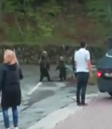 Video - O familie de urși a coborât printre turiști, la un hotel de lângă Barajul Vidraru