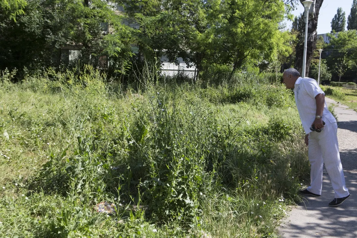 Locatarii trebuie să cosească iarba de la bloc, în Piteşti!