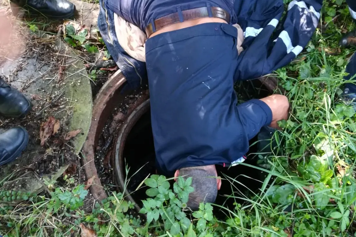 Câine salvat de pompieri, după ce a căzut într-un canal din curtea Mănăstirii Trivale