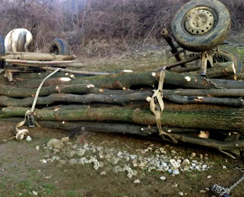 Tragedie la Mihăești. A murit după ce au căzut lemnele dintr-o căruță peste el