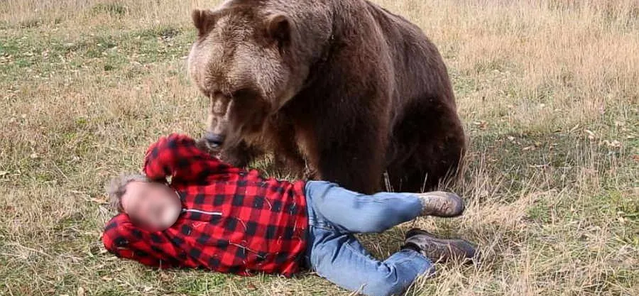Doi bărbaţi muşcaţi de urs, într-o pădure din Mălureni