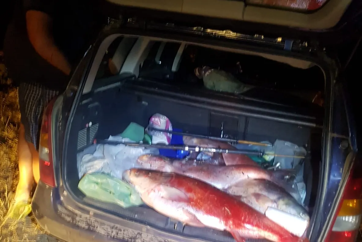 Video – Braconieri depistați în flagrant de jandarmii argeșeni
