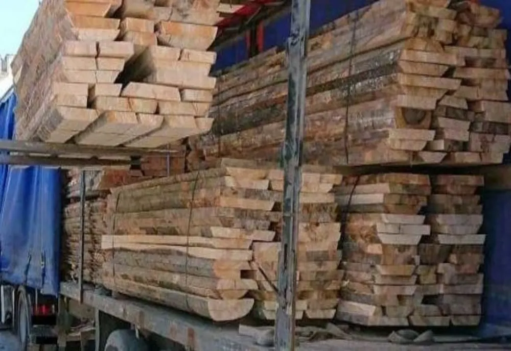 Sancțiuni drastice pentru o firmă din Domnești! A fost confiscată o cantitate de 350  metri cubi de lemn