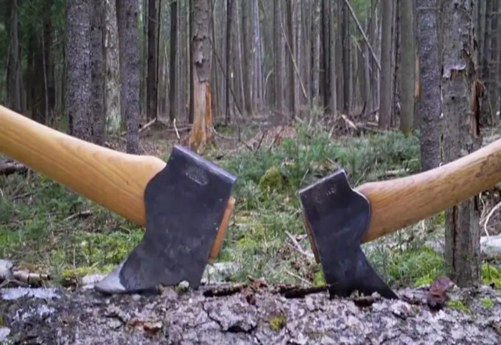 Tânăr din Argeș, în arest la domiciliu pentru tăiere ilegală și furt de arbori