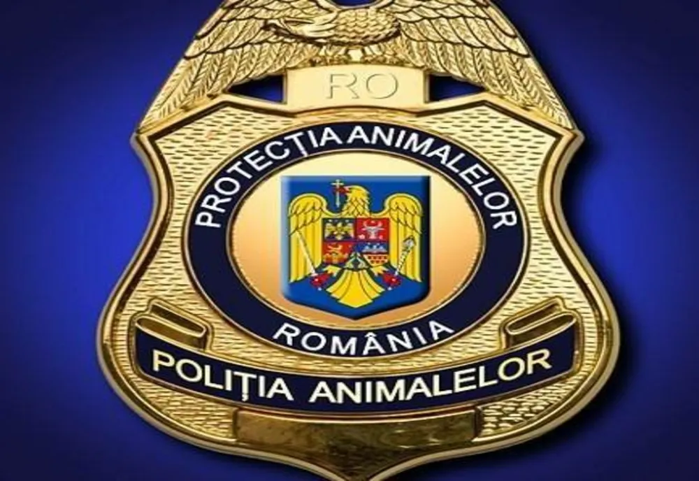 Reținut pentru braconaj în noaptea dintre ani