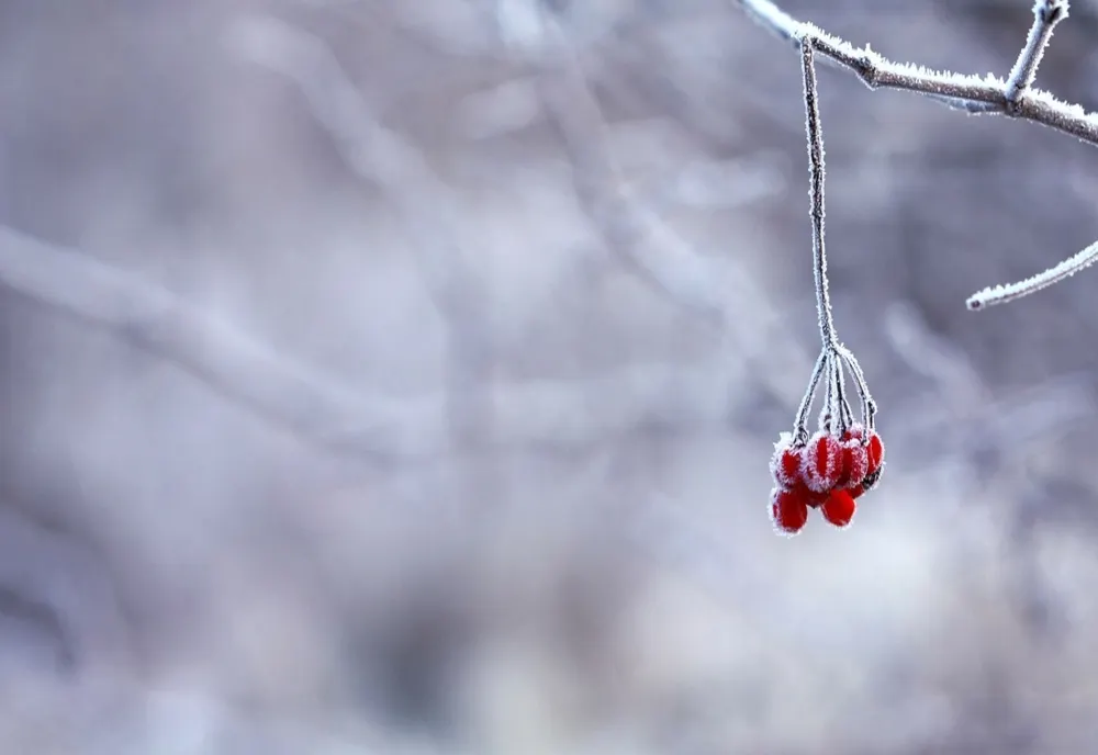 Ce anunță meteorologii pentru astăzi