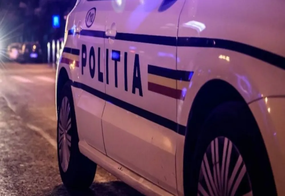 Argeş: Piteon accidentat mortal, la Poiana Lacului