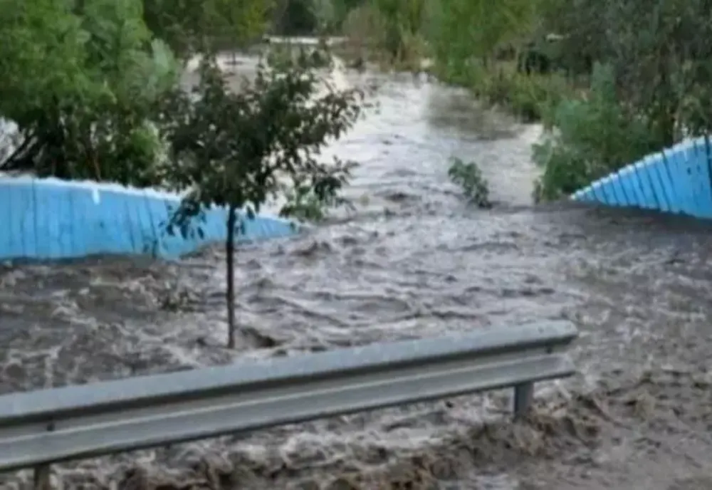 Inundații și copaci căzuți în urma ploilor duminică