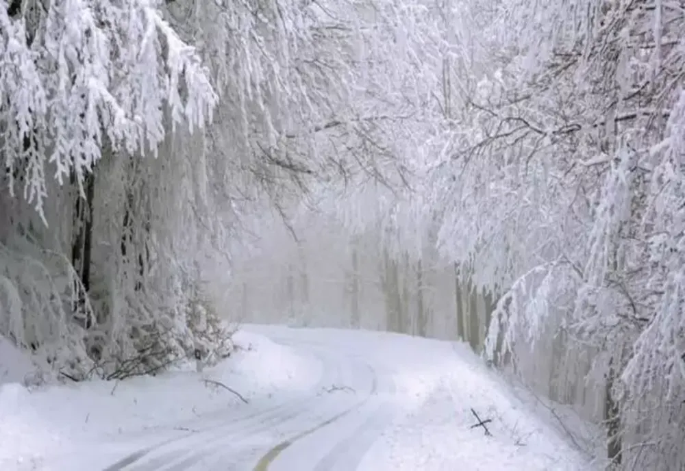 VIDEO| Ninge abundent la munte. Unde se intervine