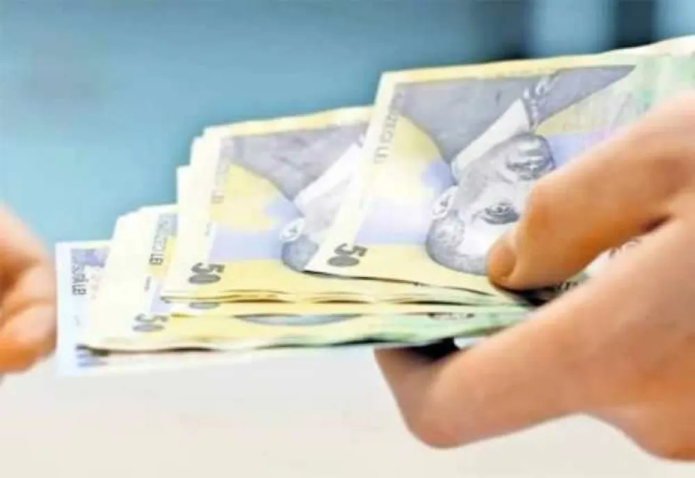 INS: ROMÂNII AU CÂȘTIGAT ÎN MEDIE 8.568 LEI PE GOSPODĂRIE