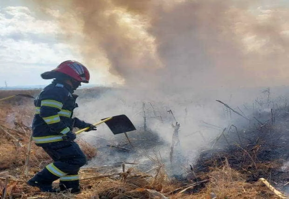 ACȚIUNE DE STINGERE A TREI INCENDII DE VEGETAȚIE ÎN ARGEȘ