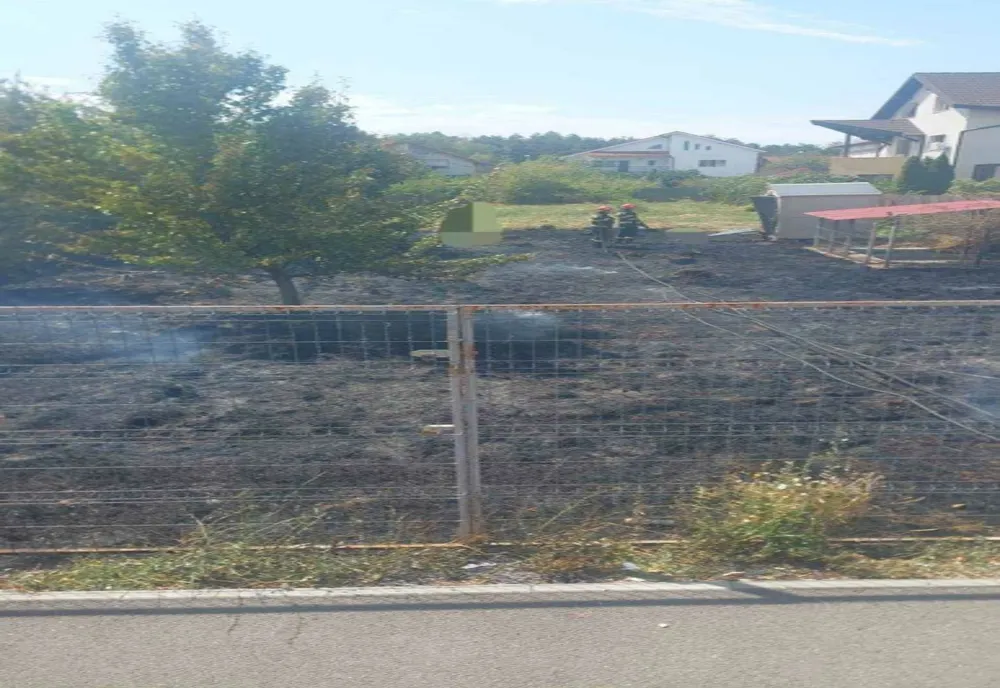 INCENDIU DE VEGETAȚIE ÎN PITEȘTI: INTERVENȚIE A POMPIERILOR PE CALEA DRĂGĂȘANI