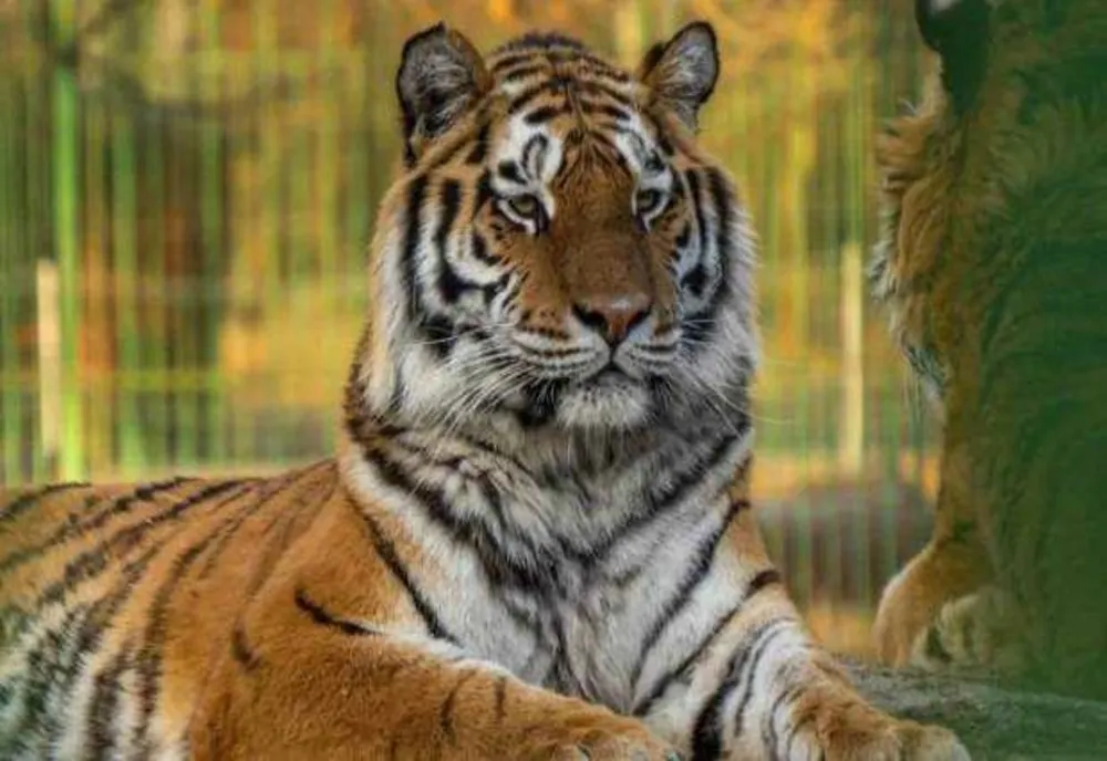 ZOO PITEȘTI: VIZITĂ ÎN MINIVACANȚA DE SFÂNTA MARIA MARE