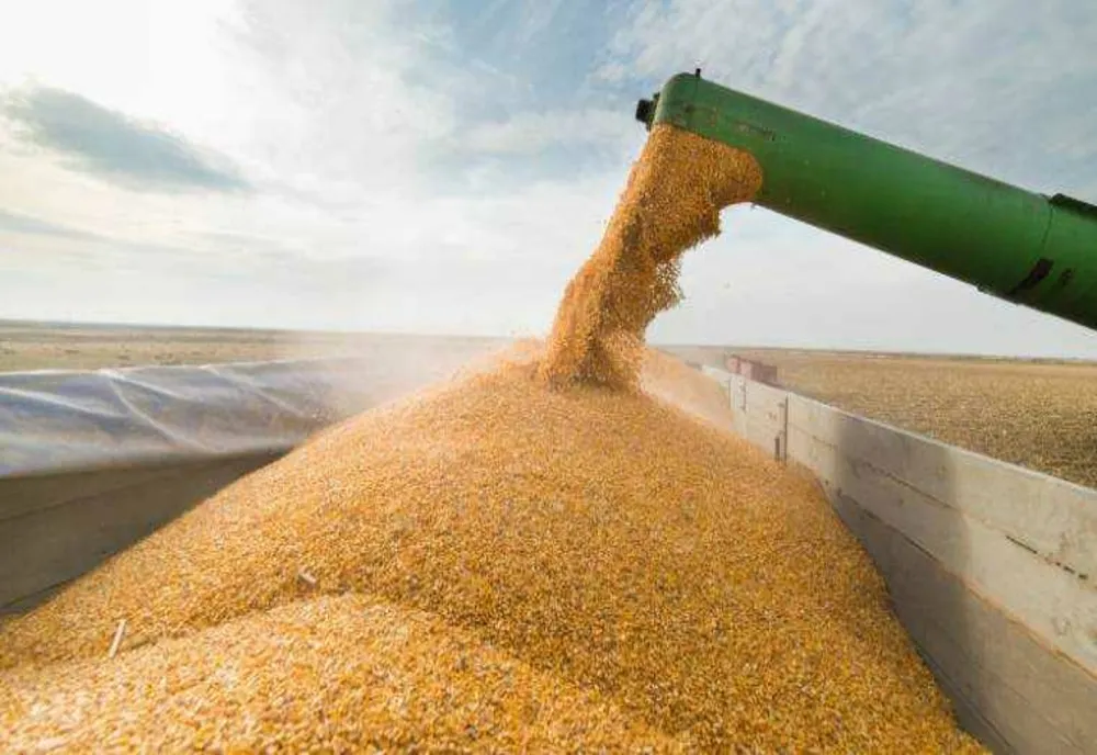 LEADERII POLITICI CER INTERZICEREA IMPORTURILOR AGRICOLE DIN UCRAINA ȘI MĂSURI URGENTE PENTRU FERMIERI