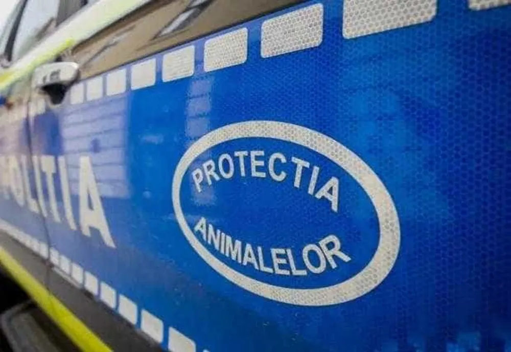 UN BĂRBAT DIN ARGEȘ, RETINUT PENTRU RĂNIREA INTENȚIONATĂ A UNUI CÂINE