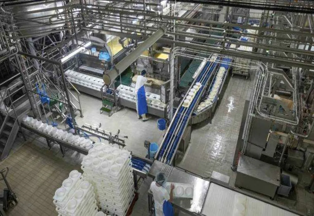 CEL MAI MARE PRODUCĂTOR DIN INDUSTRIA LACTATELOR ÎN ROMÂNIA ÎNCHIDE FABRICA DIN MIERCUREA CIUC ȘI CONCEDIAZĂ 95 DE ANGAJAȚI