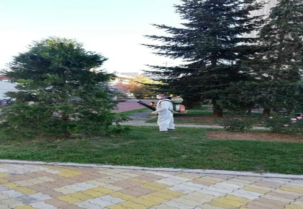 TRATAMENT FITOSANITAR ÎN PITESTI, CONFORM BULETINULUI DE AVERTIZARE NR. 730/17.09.2024