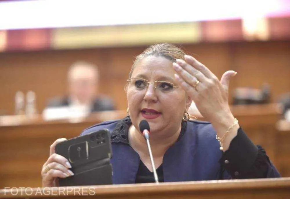 CRITICI ALE DECIZIEI CCR DE INVALIDARE A CANDIDATURII DIANEI IOVANOVICI-ȘOȘOACĂ