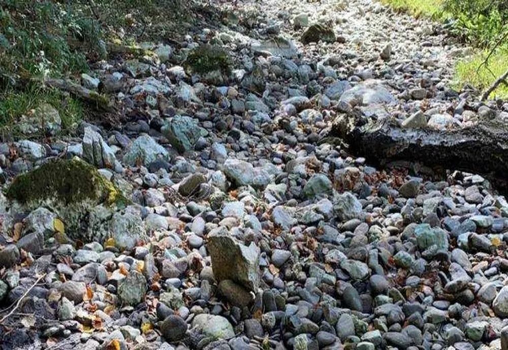 SCANDAL ÎN PARCUL NAȚIONAL PIATRA CRAIULUI: DÂMBOVIȚA SECATĂ DIN NOU DE INTERESELE HIDROELECTRICA