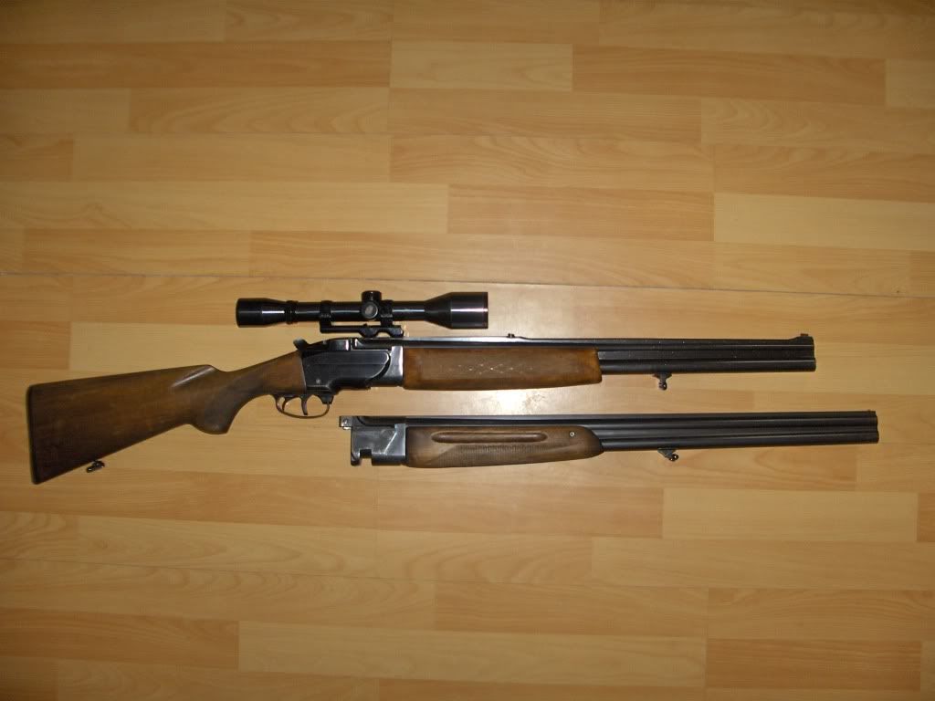 Important pentru deţinătorii de arme! Ghişee deschise la Poliţia Curtea de Argeş şi Poliţia Câmpulung