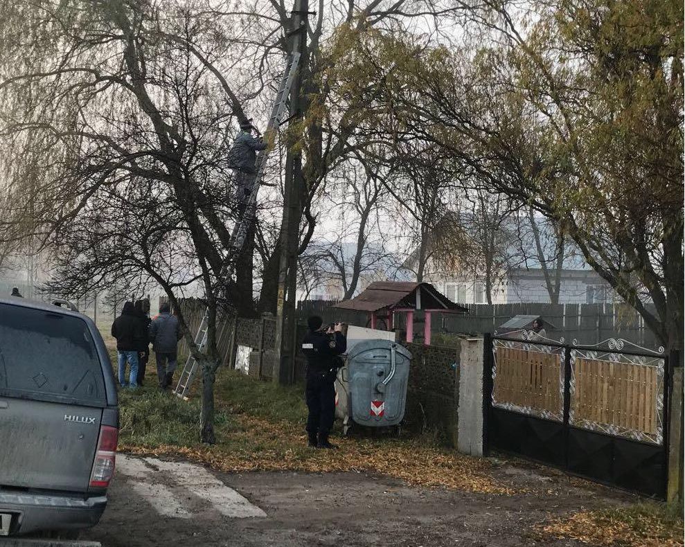 Țigani branșați ilegal la energie electrică! Cinci dosare penale