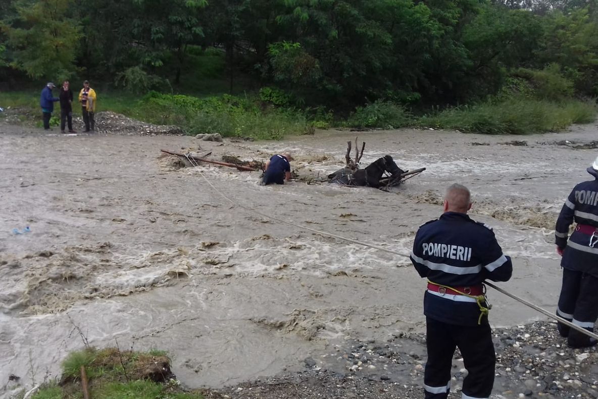Video-Căruţa cu 3 persoane prinsă de viitură. Oamenii şi caii în vâltoarea apelor