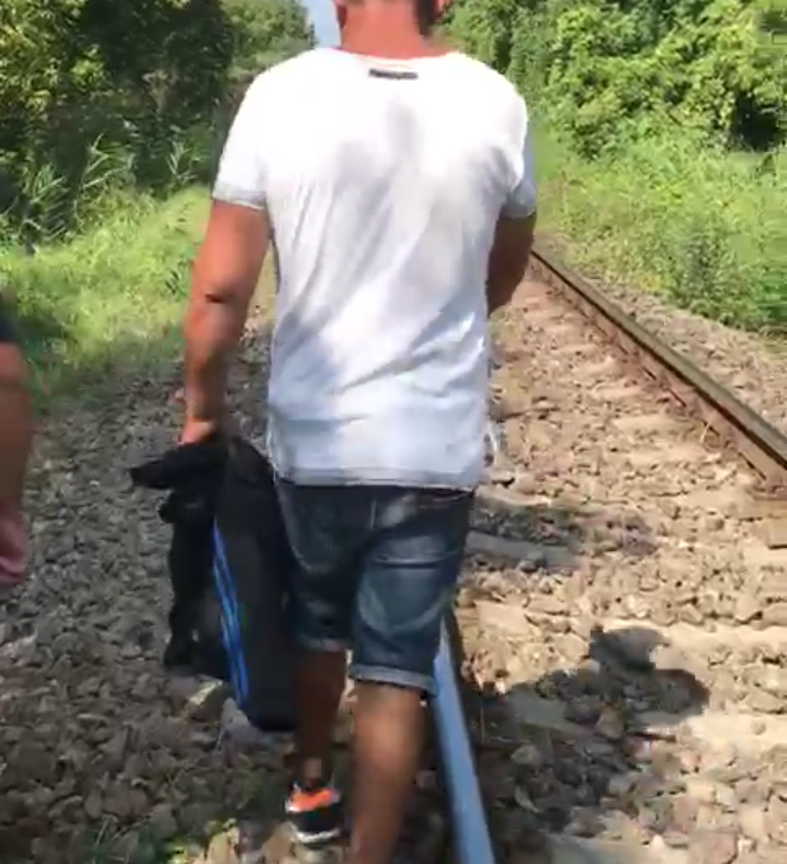 VIDEO-Agresor reținut după ce a atacat o adolescentă cu un cuțit