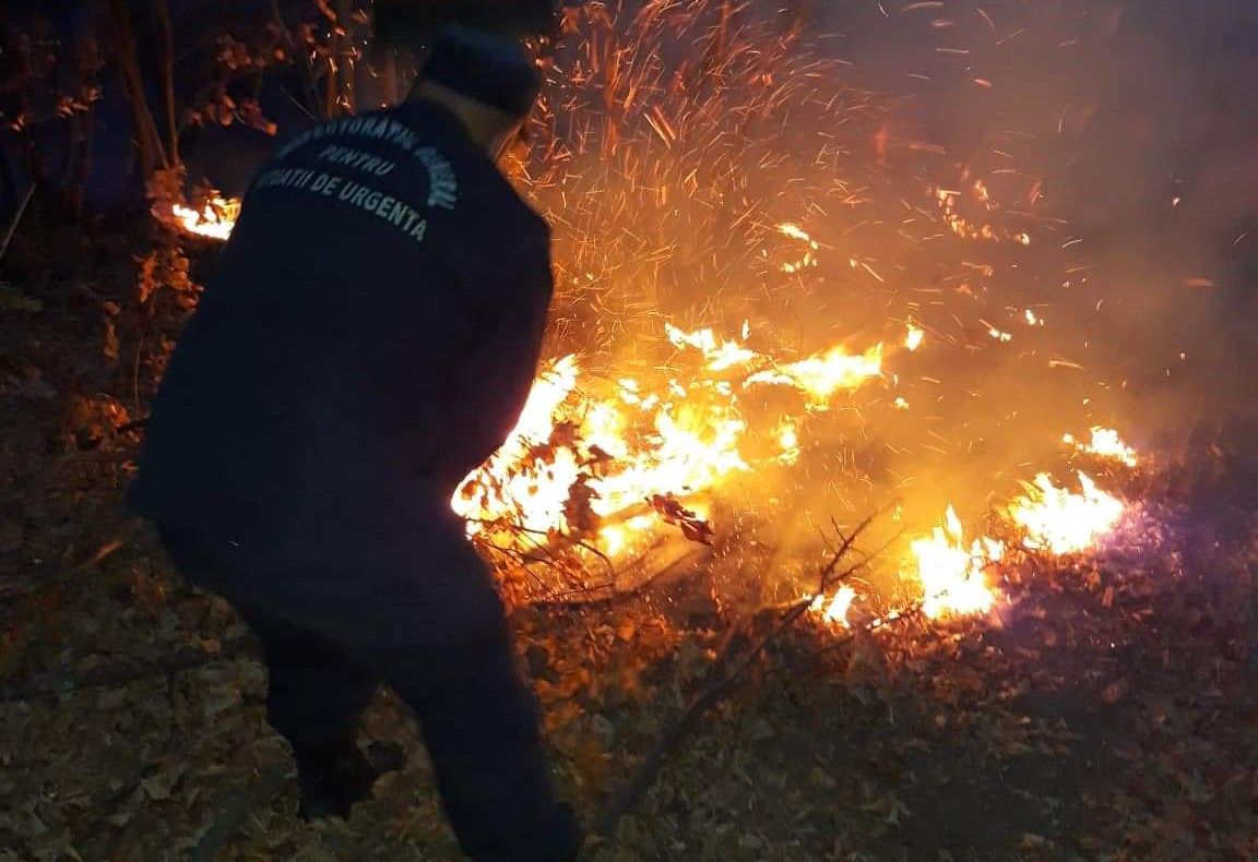 Update-Video-Focul a ajuns în pădure! Ard hectare de vegetație uscată