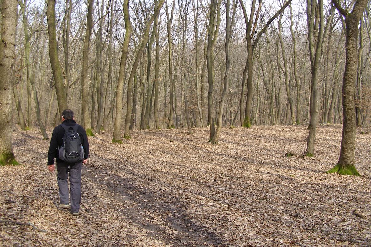 Dispărutul a parcurs pe jos zeci de kilometri! Avea pierdere de memorie