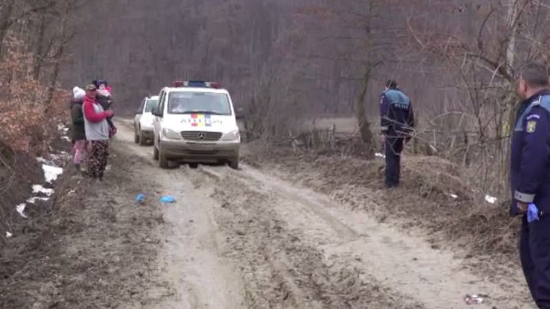 Şi-a ucis fratele cu bâta, la Moşoaia! Reţinut pentru omor calificat