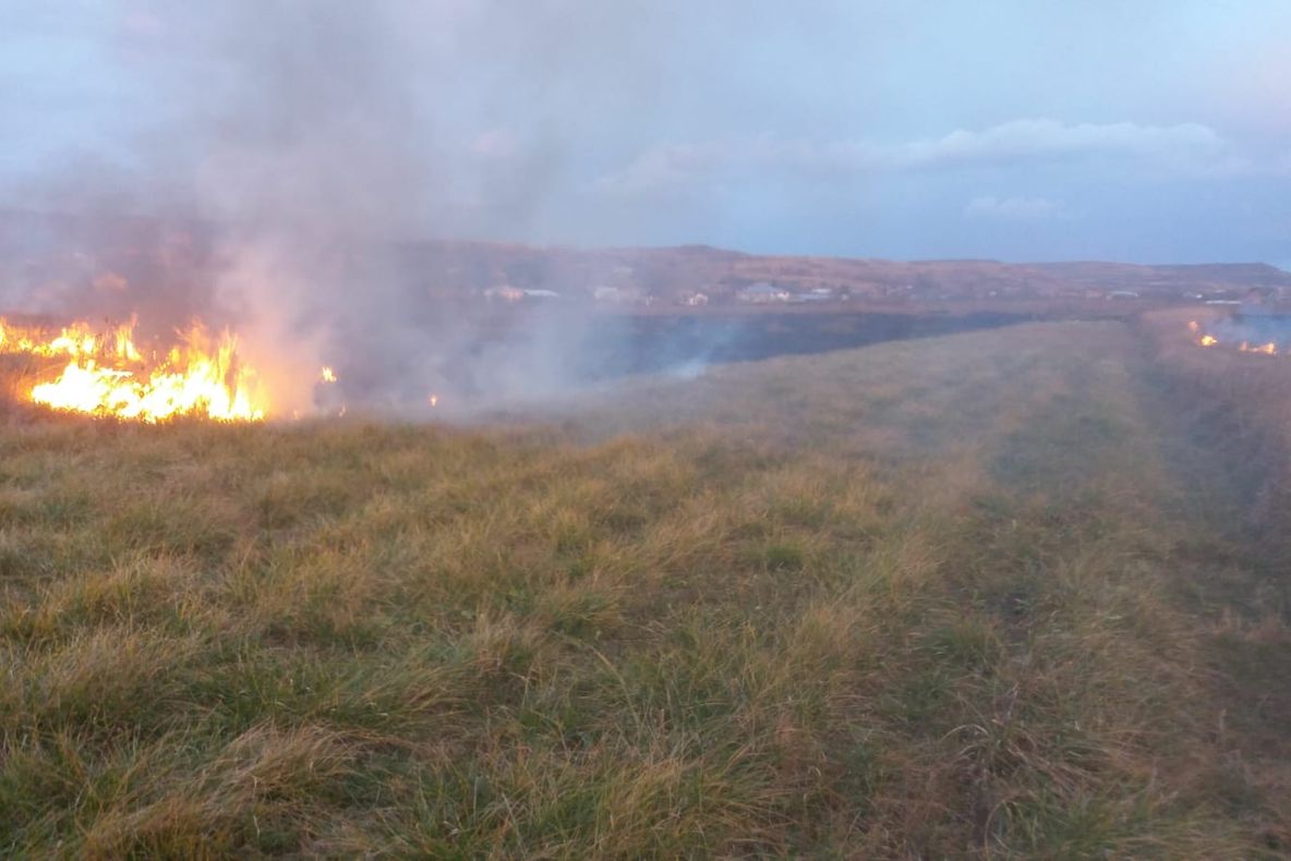 Peste 10 incendii de vegetație, astăzi, în Argeș! Un bărbat a suferit arsuri pe față