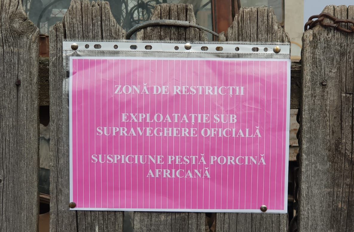 Măsuri ce vor fi luate de autorităţile din Argeş după confirmarea PPA