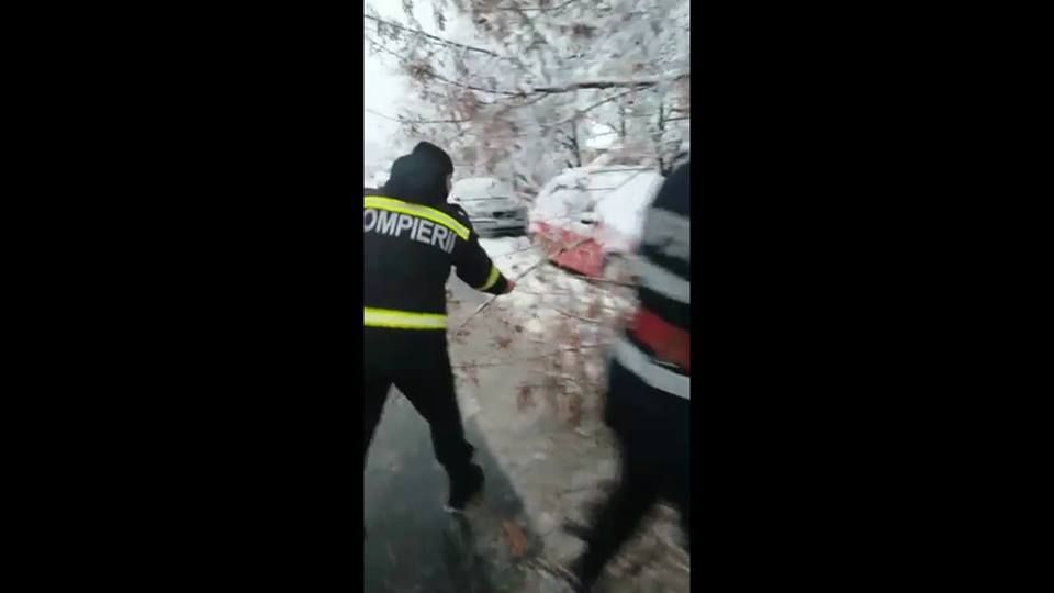 Video-Cad copacii! O altă problemă adusă de ninsorile abundente, în Argeş