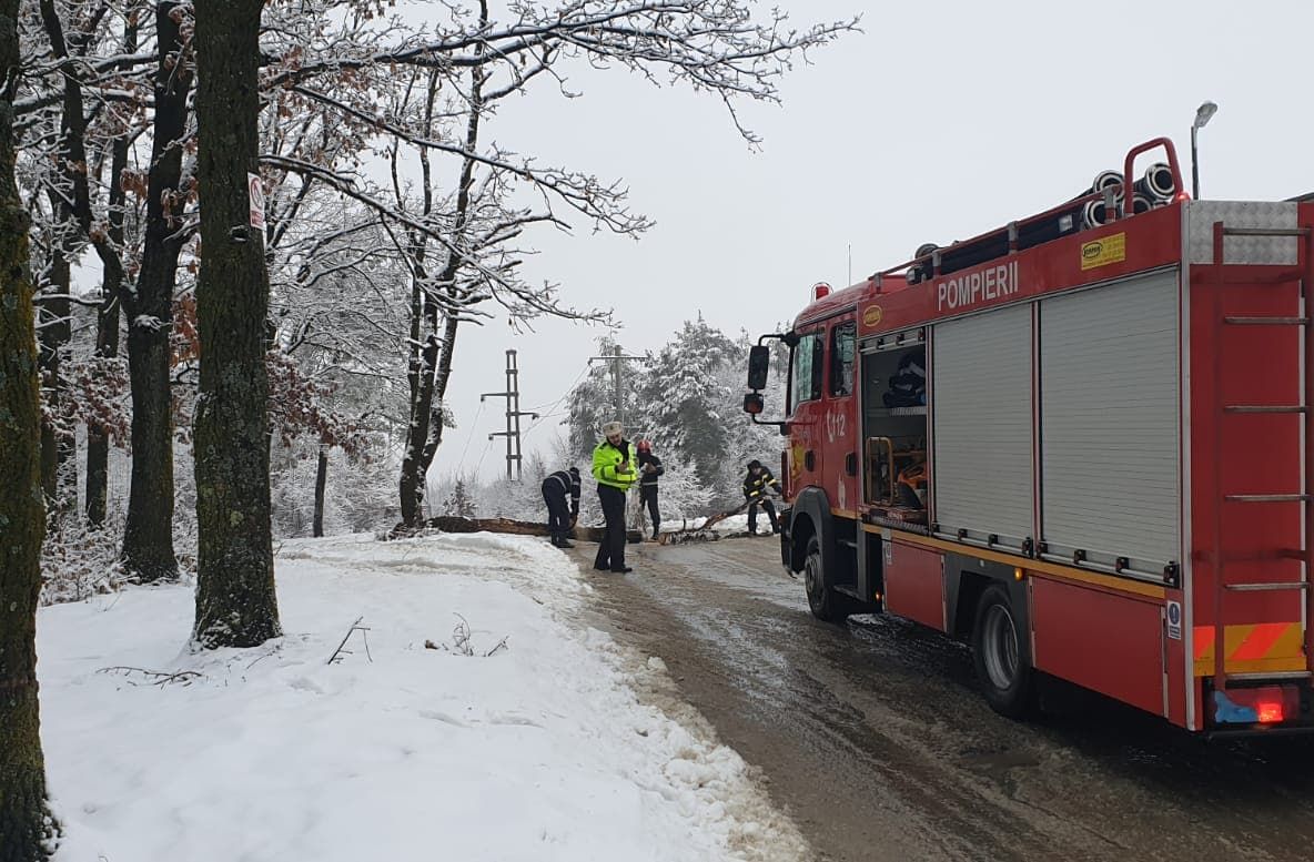 Strada Popilor blocată de un copac căzut pe carosabil