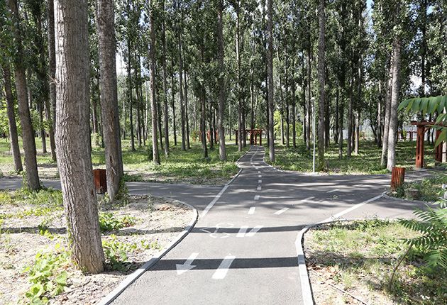 Parcuri noi în Pitești! Sunt prevăzute spații de picnic și tiroliane
