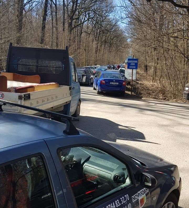 Municipalitatea vrea să facă linie de autobuz către Zoo, la Pitești