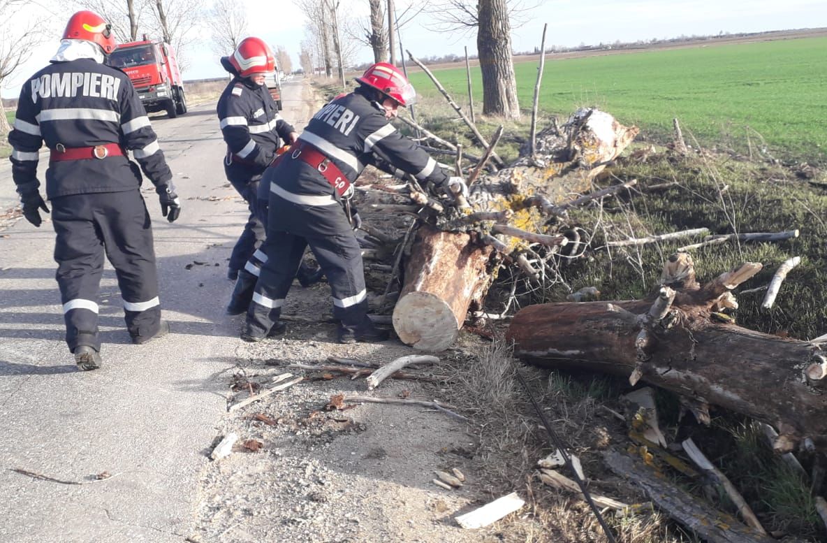 Cod galben de vânt în 57 de localități din Argeș! Copaci căzuți pe carosabil, în Buzoești