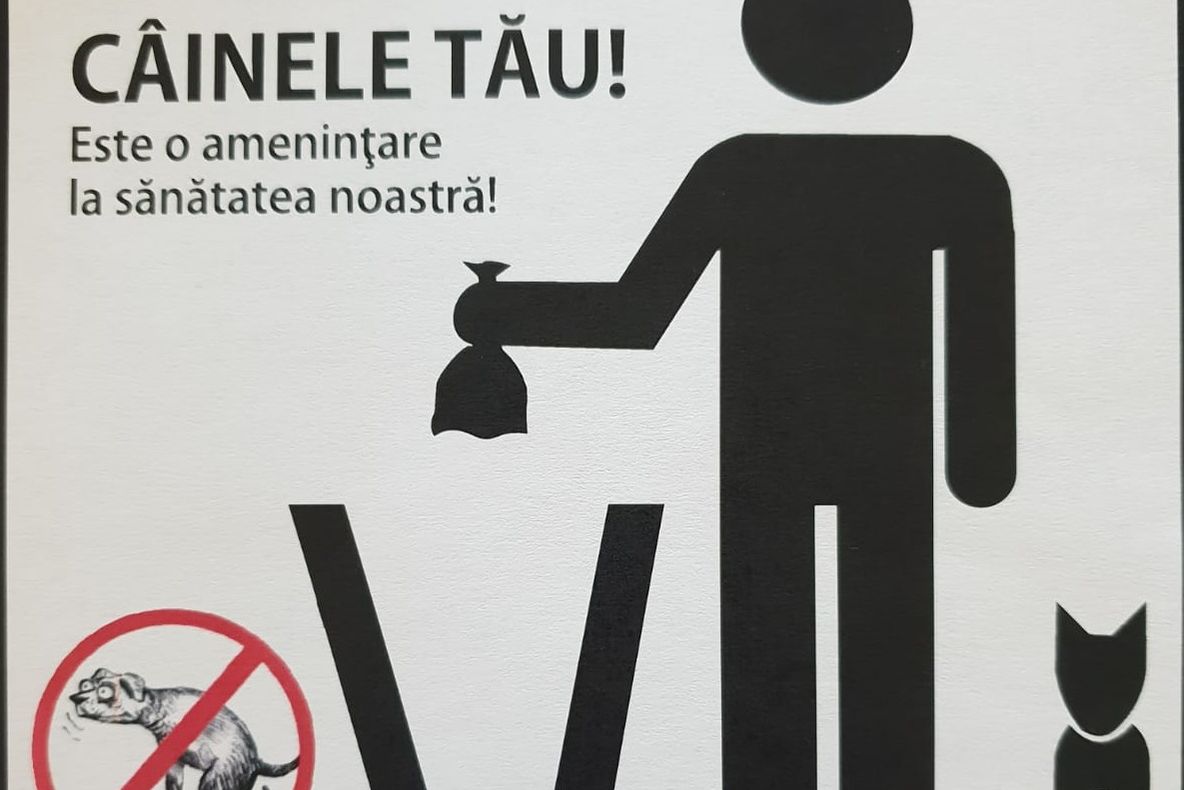 Campania „Strânge după câinele tău”, la Pitești! Amenzi între 200-500 lei