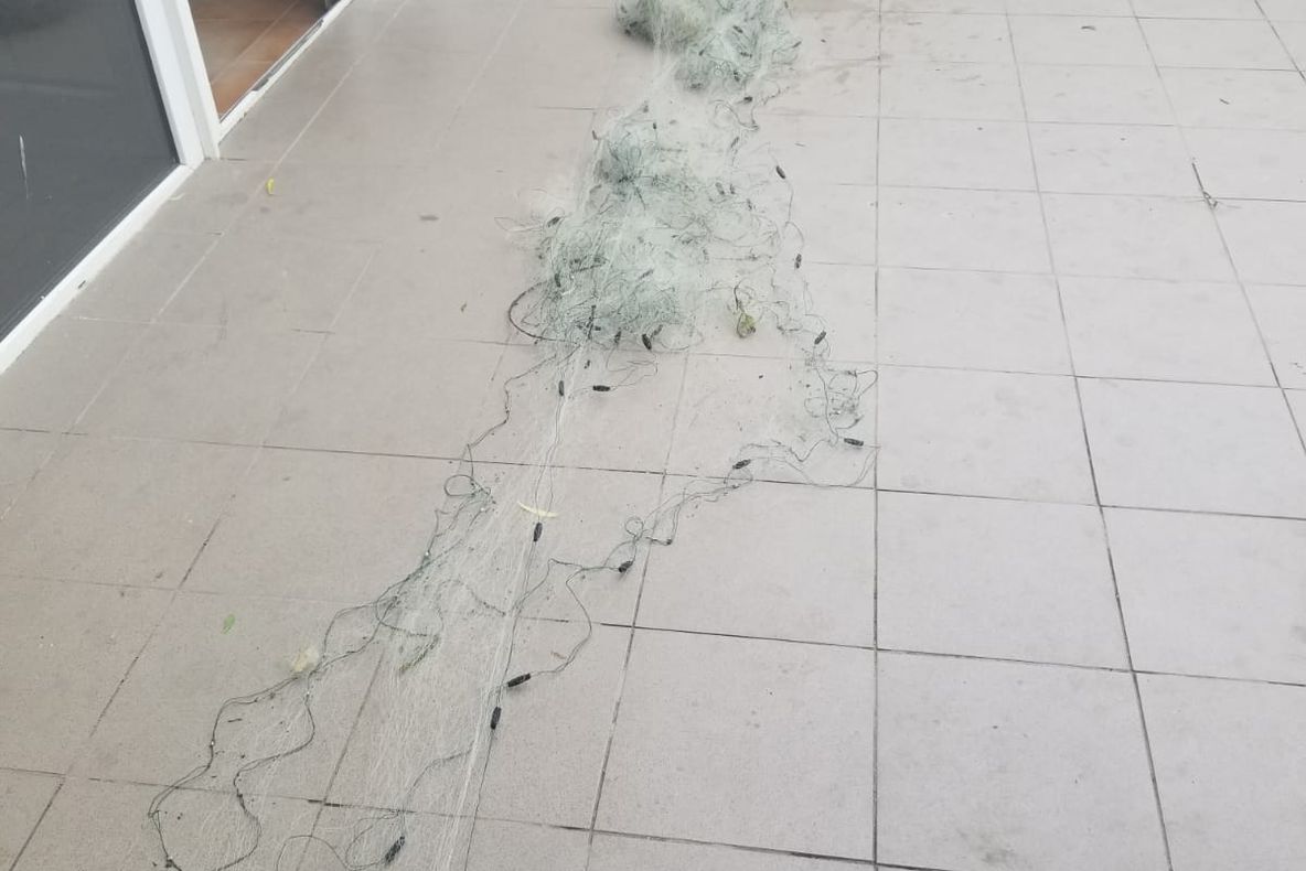 Trei braconieri depistați în zona barajului Golești. S-au ales cu dosar penal