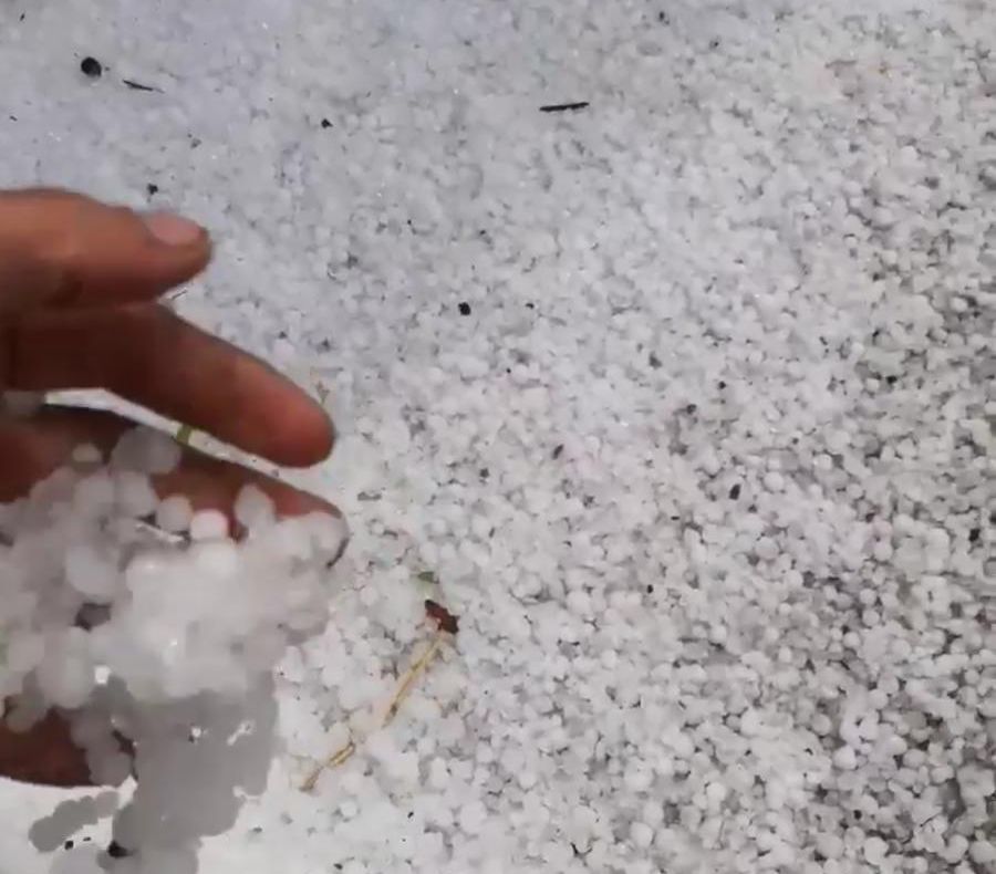 Grindina a distrus culturile la Bârla, în câteva minute!