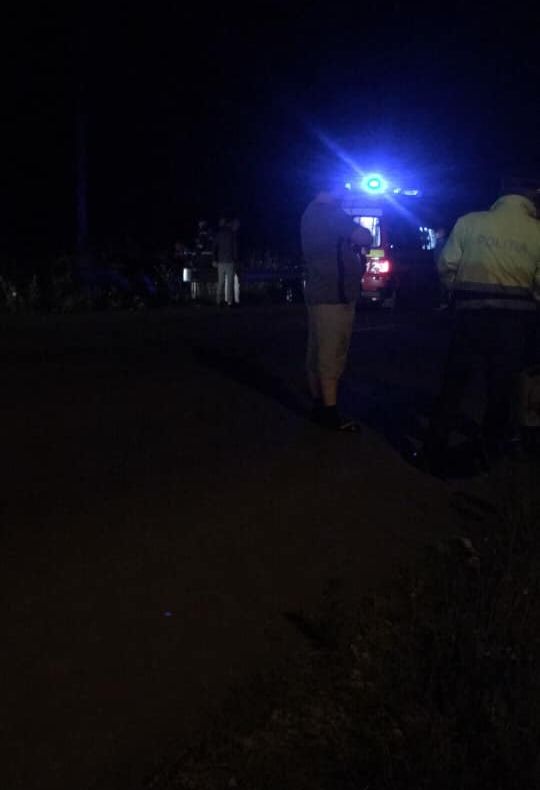 Cal omorât pe șosea de mașină! O șoferiță a ajuns la spital