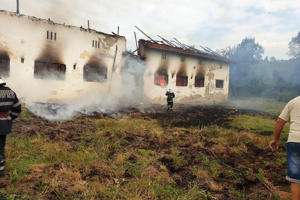 Animale arse de vii într-un adăpost cuprins de foc, la Cetăţeni