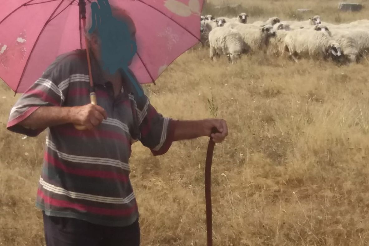 Incendiu de vegetație, în Pitești! Un bătrân, care se afla cu oile, salvat din flăcări